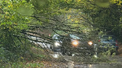 [Direct] Vents violents : suivez l'état des routes de la région