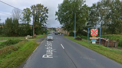 Ardennes - Des chats tués et blessés par des tirs de carabine à plomb