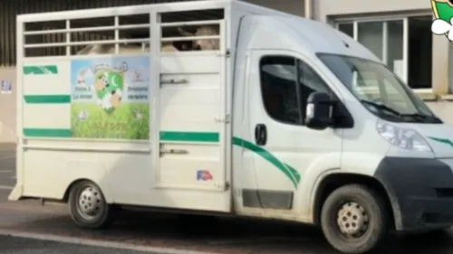 Un nouveau camion volé dans les Ardennes
