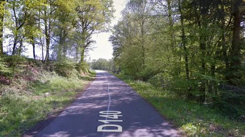 Opération d'élagage : une route fermée pendant 2 jours