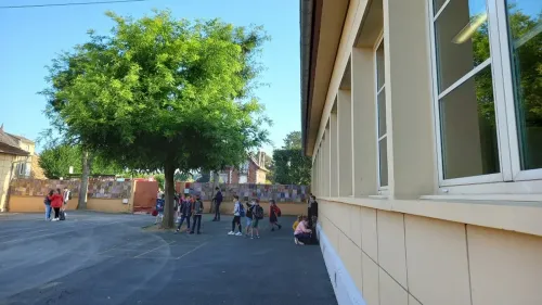 28 postes de professeurs supprimés dès la rentrée 2024