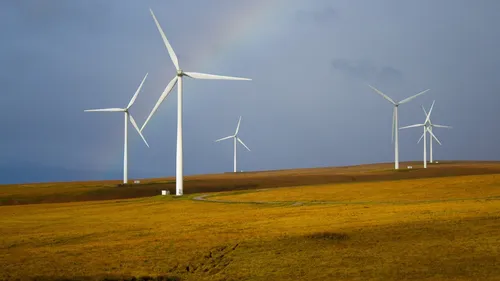 Le projet du plus puissant parc éolien terrestre annulé par la justice
