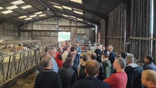 Le préfet des Ardennes rencontre des éleveurs de moutons