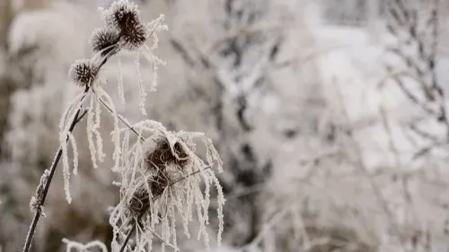 Tout le département sous les 0°C ce mardi matin