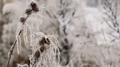 Jusqu'à -11°C dans la région,  où a-t-il fait le plus froid ce mardi ?