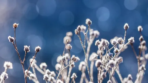 Où a-t-il fait le plus froid dans la région ce vendredi matin ?