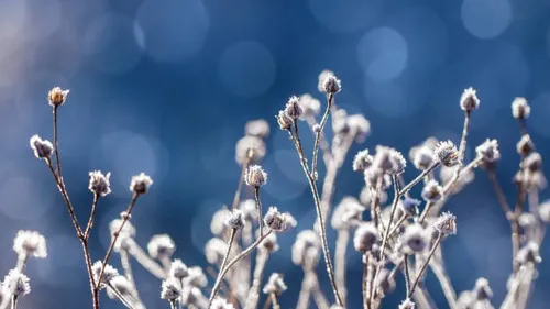 Retour du froid : les températures vont chuter la nuit prochaine