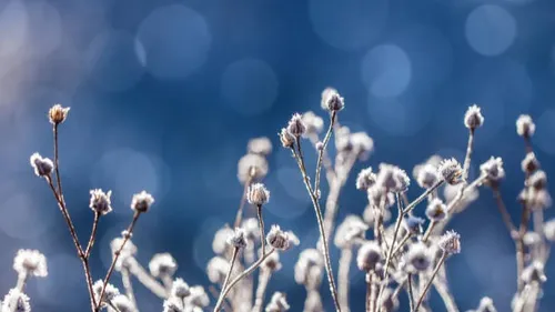 Champagne-Ardenne - Le thermomètre est descendu sous les 0°C