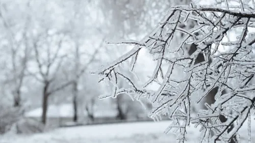 -7,7°C à Givet, -6,1°C à Rocroi, l'hiver est enfin là