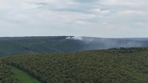 Ardennes - Feu de forêt : Un hectare ravagé par les flammes à...
