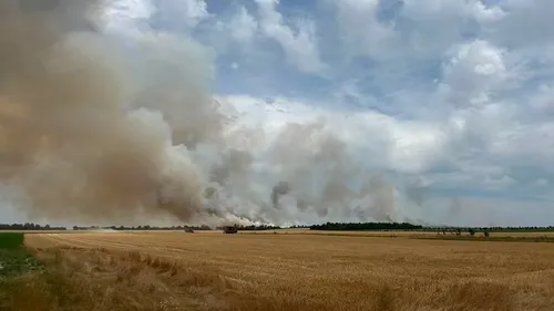 Ardennes - Les pompiers mobilisés sur une série de feux de récolte...