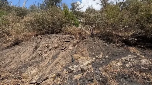 Ardennes - Monthermé : le feu de forêt est désormais totalement éteint
