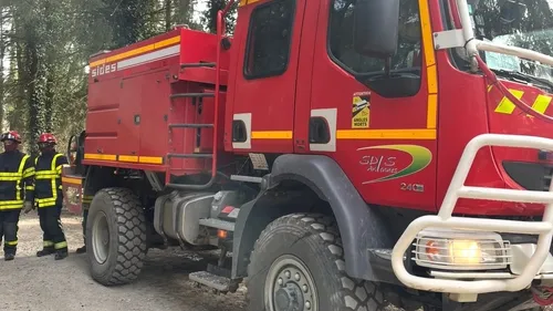 Ardennes - 7 000 m² de forêt touchés par un incendie ce jeudi