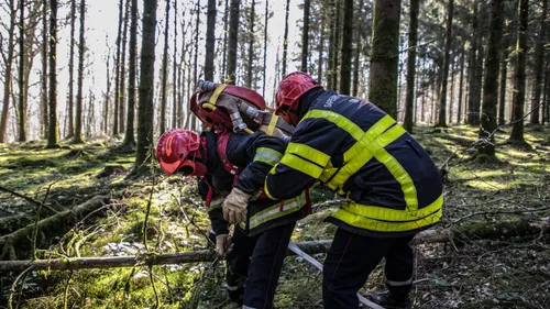 Champagne-Ardenne - De multiples incendies de végétations et de...