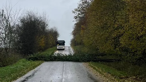 Vents violents : une dizaine d'arbres tombent sur les routes
