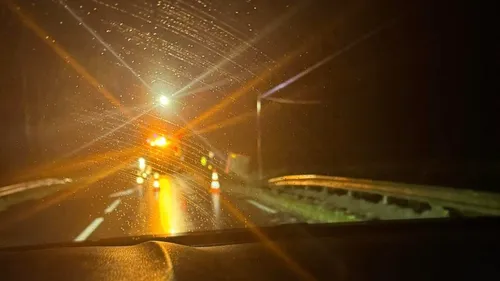 Accident : un camion transportant des carcasses d'animaux termine...