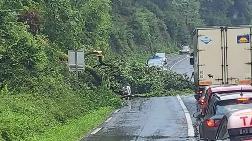 Plusieurs routes coupées à la circulation après le passage de l'orage
