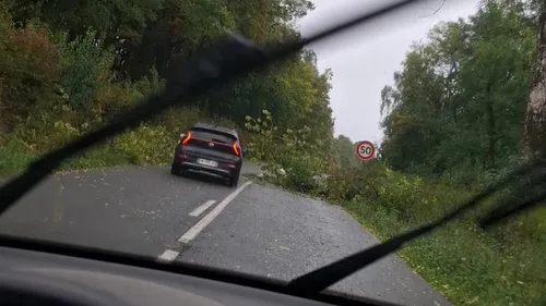 Tempête : plusieurs chutes d'arbres dans les Ardennes