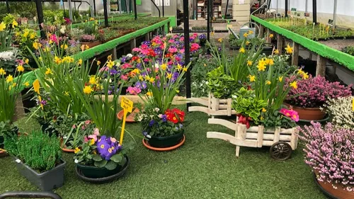 Le soleil, les fleurs, les oiseaux... Top départ pour le printemps