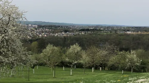 Des records de température pour un mois d'avril dans les Ardennes ?