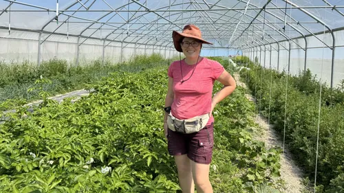 "On voit que la demande augmente" : Le bio et local séduit les...