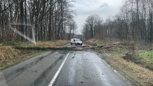 Tempête : plusieurs routes fermées dans les Ardennes