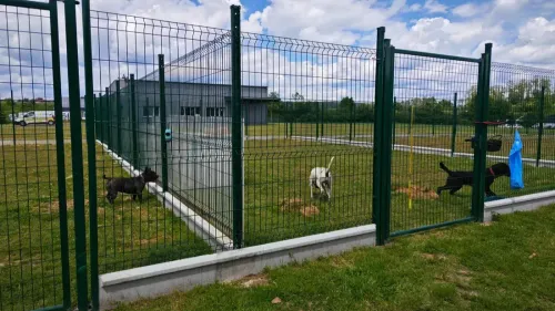 L'association Lisa est saturée avant la période hivernale