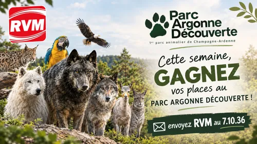 LE JEU DE LA SEMAINE