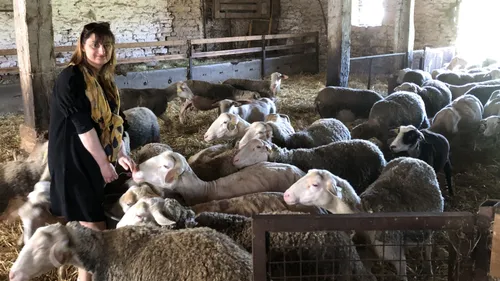 Fromages de brebis frais, affinés ou aromatisés : rencontre avec...