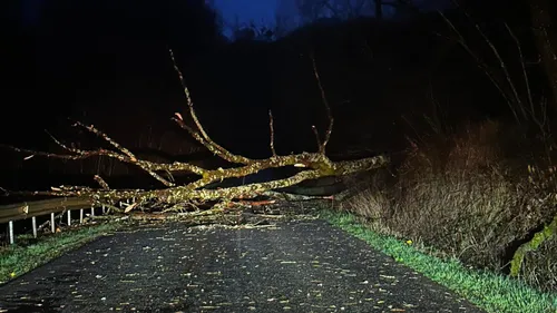 Des arbres couchés, des coupures d’électricité, le vent a bien...