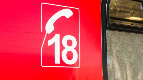 Un homme attaqué par un chevreuil dans les Ardennes 