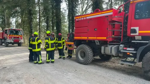 Ardennes - Un important feu de végétation en cours près de Vouziers