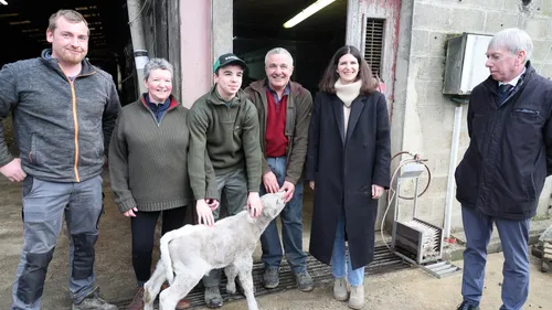 Le numérique et l'IA présents dans des élevages des Ardennes