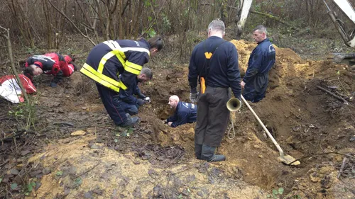 Un chien retrouvé dans un terrier de blaireau après des heures de...
