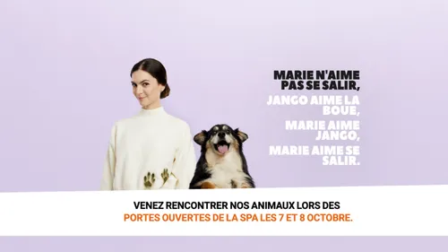 la SPA recherche des bénévoles dans les Ardennes