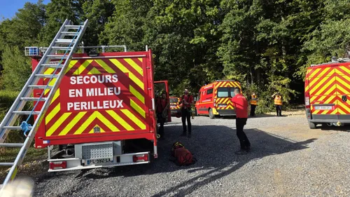 Ardennes - Un homme de 67 ans retrouvé mort en haut d’un arbre