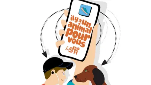 La SPA lance une application inédite pour la Saint-Valentin