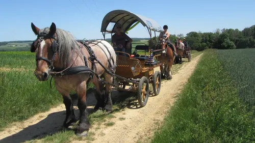 Des balades en calèche avec Les Sabots du Relais