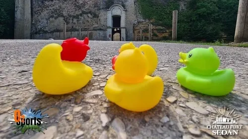 Insolite : une chasse aux canards géante au Château fort de Sedan