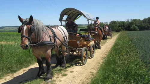 La journée des Sabots du Relais à Launois-sur-Vence