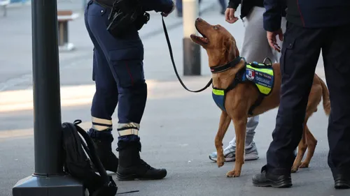 Opération de sécurisation en gare de Charleville-Mézières