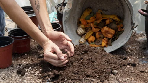 Du compost à récupérer gratuitement en déchèterie 