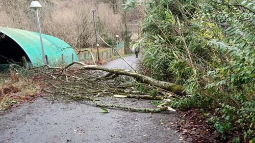 Le coup de vent est passé sur la région