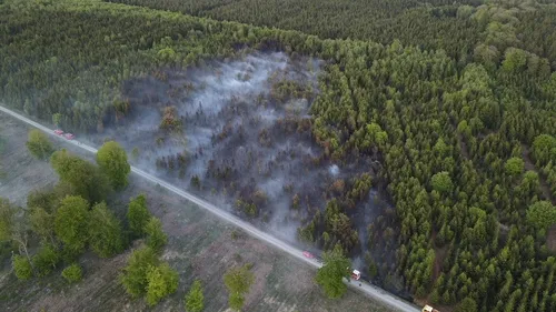 Feu de forêt : 9 hectares brûlés, près de 80 pompiers mobilisés