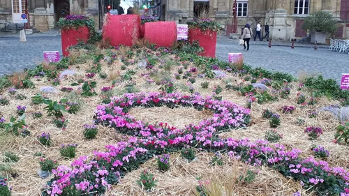 Des ballots de paille roses envahissent Charleville 
