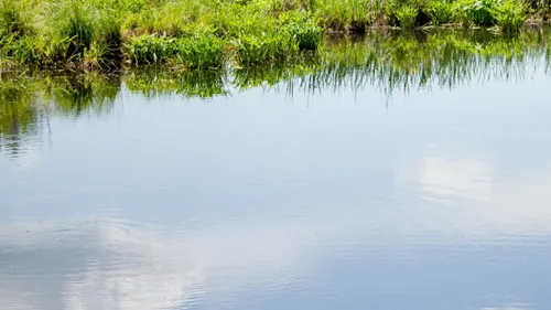 La Sormonne encore polluée