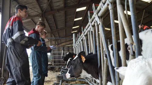 Une formation d'ouvrier agricole ouvre à Saint-Laurent