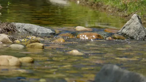 Ardennes - La sécheresse bouleverse les activités touristiques