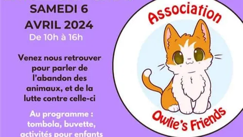 Devenez des "amis d'Owlie"