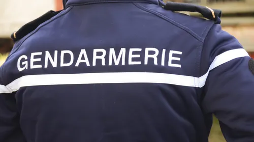 Un trafic de stupéfiants démantelé dans les Ardennes